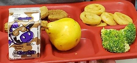 School lunch on tray