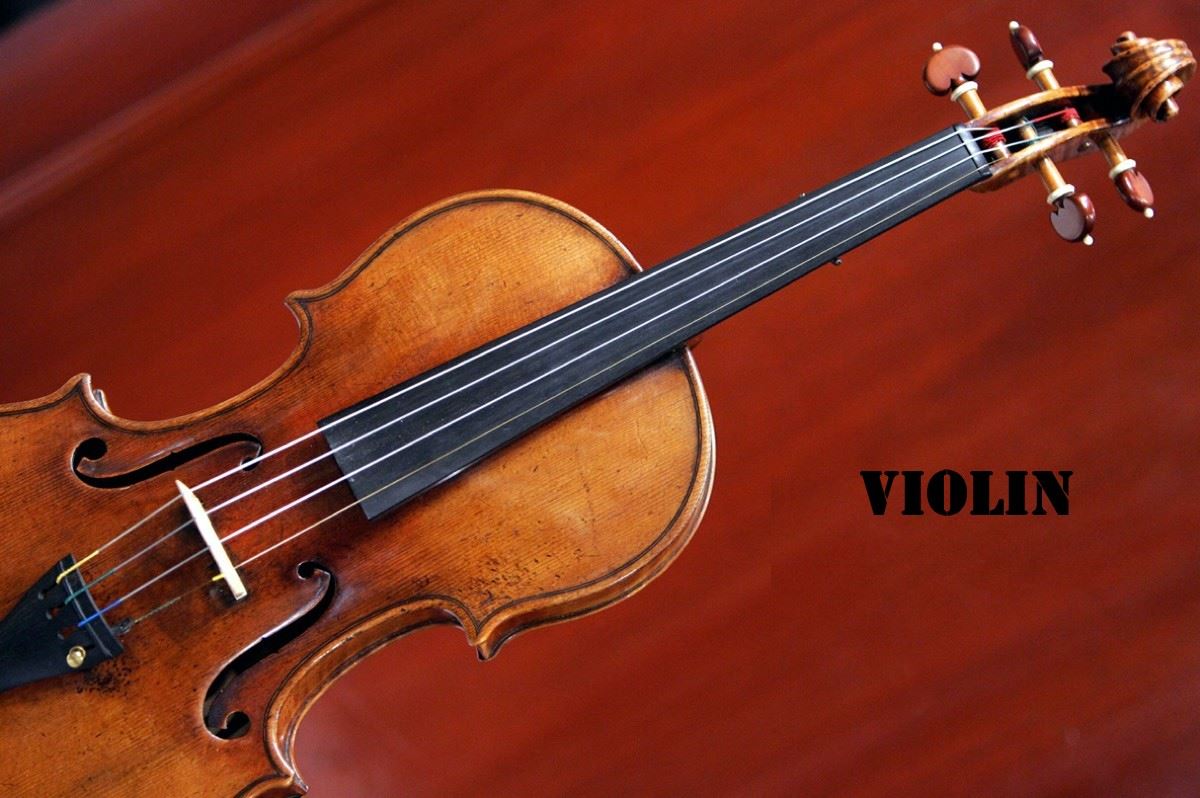 1Violin