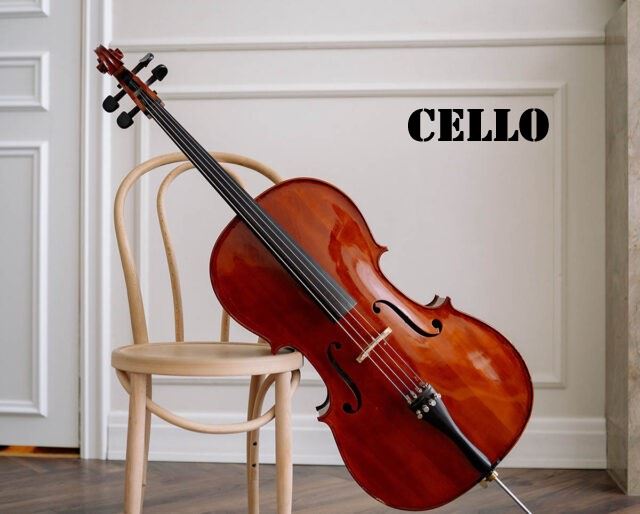 New cello