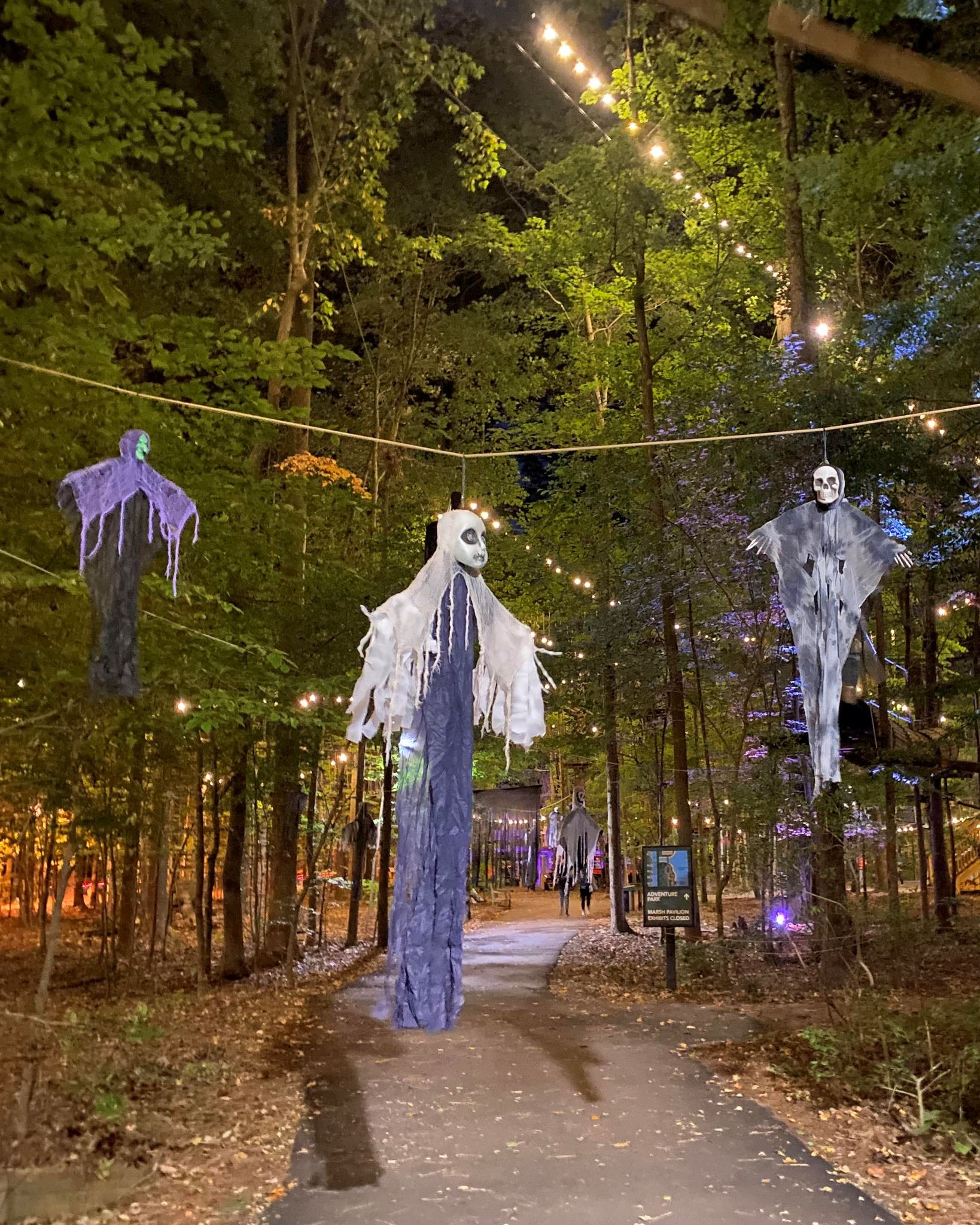 Photo of tree park at night, mini lights light up the branches and ghost decorations appear to float