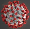 Coronavirus icon