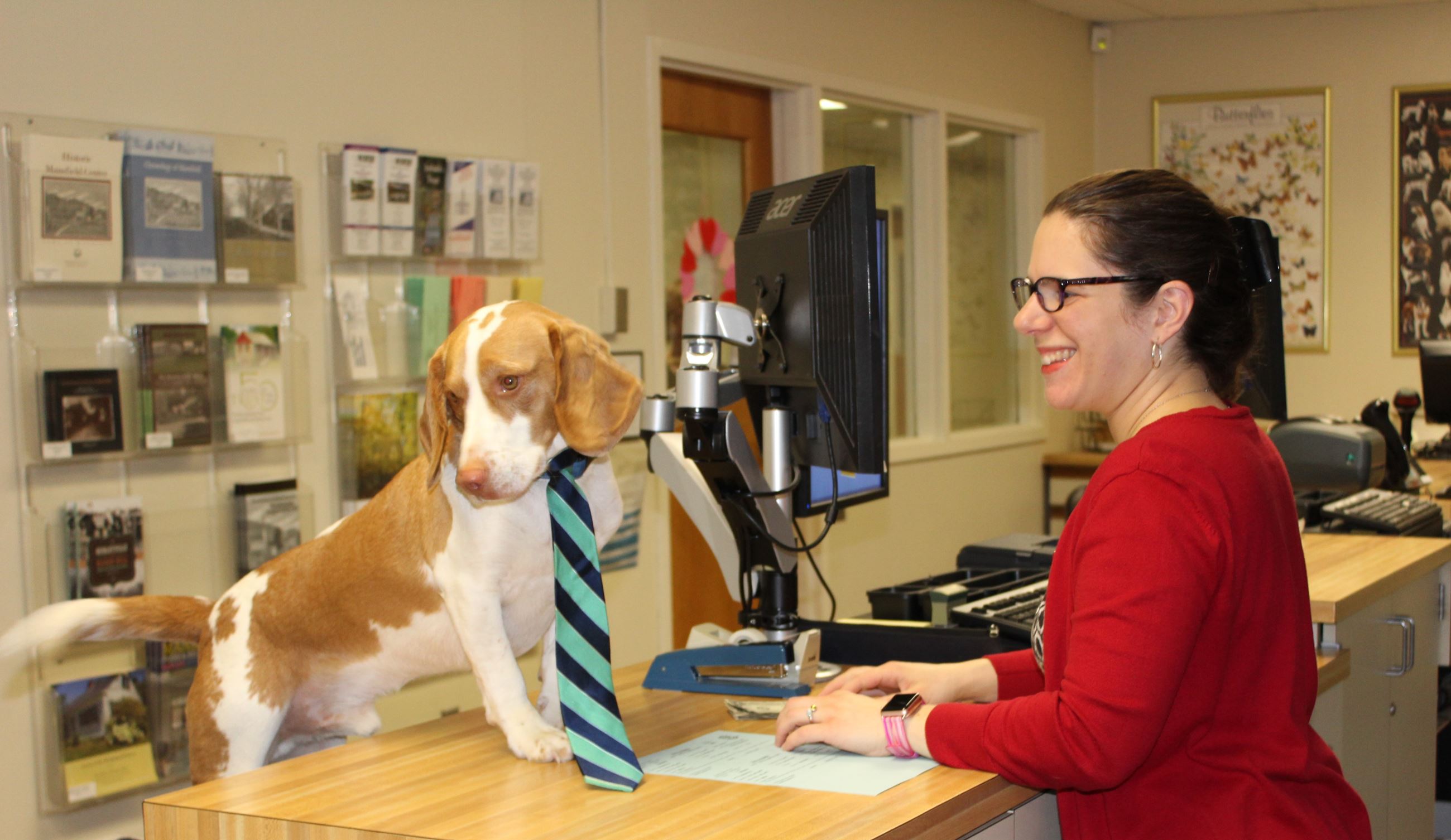 Willy visits the Clerk's Office with his licensing paperwork.  