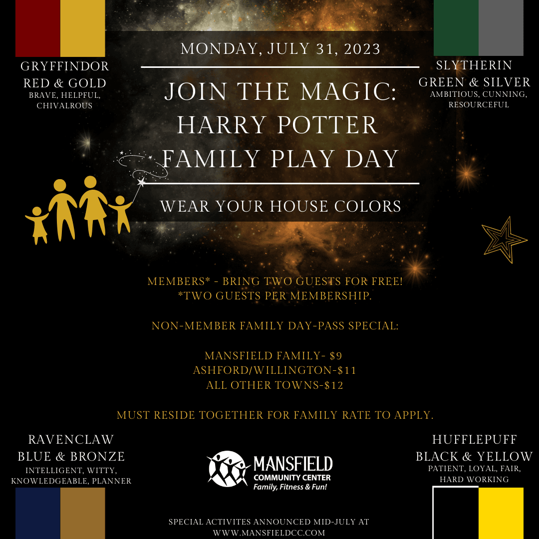 HARRY POTTER FAMILY PLAY DAY
